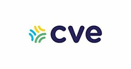 cve